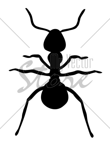 vector Ant silhouette