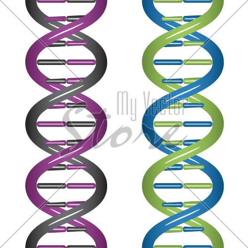 vector seamless DNA