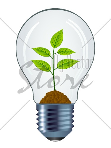 vector eco bulb isolated