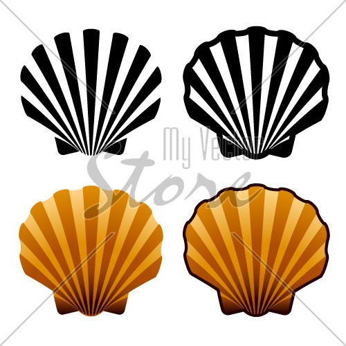 vector sea shells