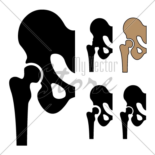 vector human hip joint symbols