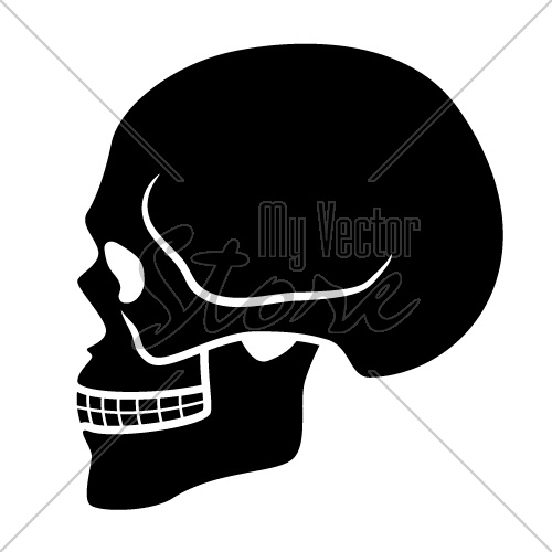 vector human skull symbol - side view