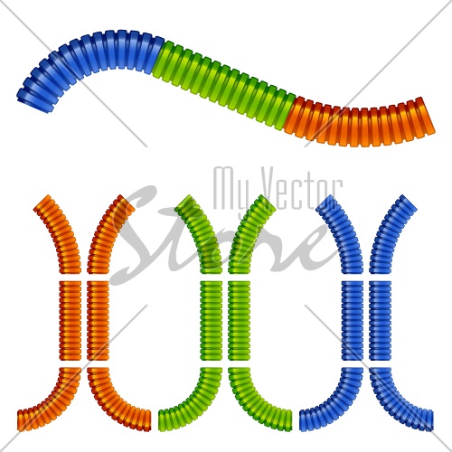 vector colored corrugated flexible tubes