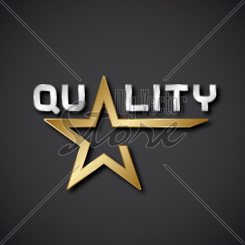 vector quality golden star inscription icon