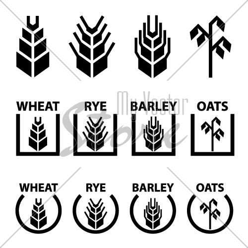 vector wheat rye barley oat cereal spike ears symbols