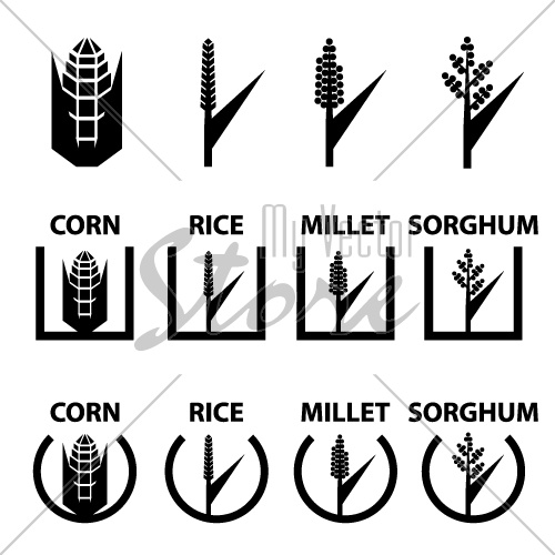 vector corn rice millet sorghum cereal symbols