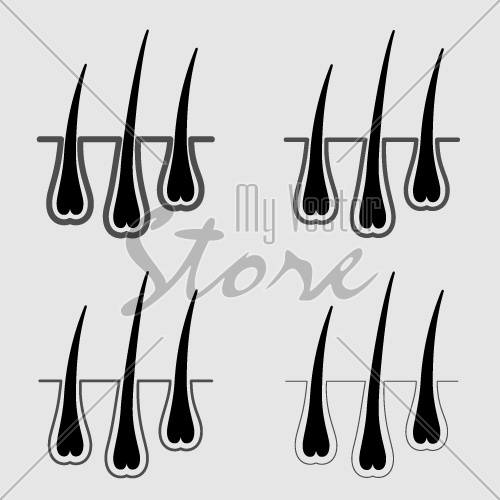 vector growth hair follicle icon