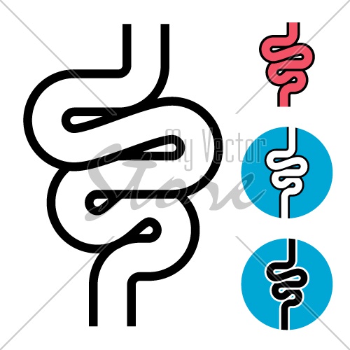 intestine simple symbol vector
