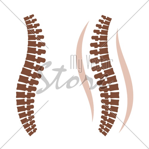 human spine silhouettes vector