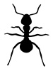 vector Ant silhouette