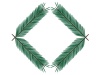 vector fir twig