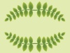 vector leaf frame