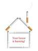vector house from cigarettes