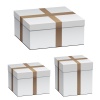 vector white shipping boxes