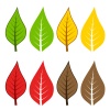 vector autumn leafs
