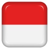 Vector indonesia flag