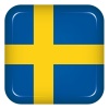Vector sweden flag