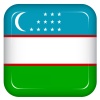 Vector uzbekistan flag
