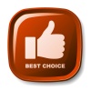 vector red best choice button
