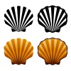 vector sea shells