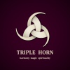 vector celtic triple horn symbol design template