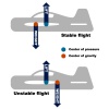 vector airplane center of gravity requirement