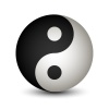 Yin Yang sphere symbol vector