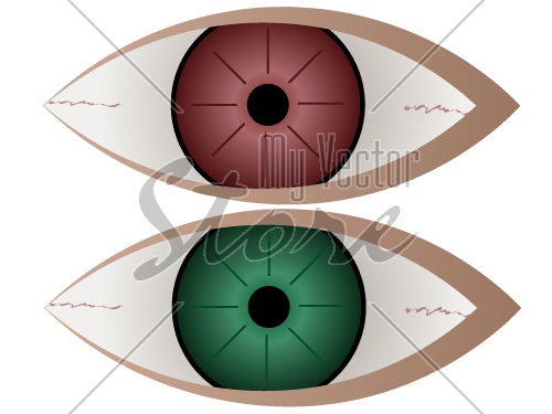vector Green and red eye