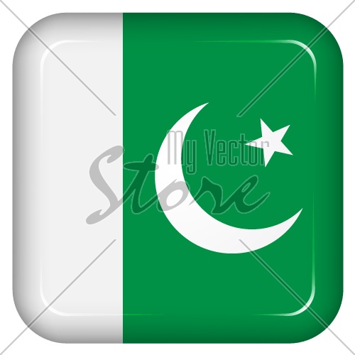 Vector pakistan flag