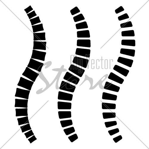 human spine simple silhouettes vector