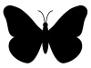 vector butterfly silhouette