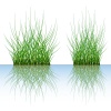 vector grass