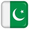 Vector pakistan flag