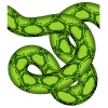 vector green snake seamless