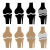 vector human knee joint symbols