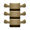 vector human spine vertebrae front view