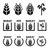 vector wheat rye barley oat cereal spike ears symbols