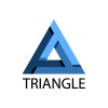 blue triangle unusual icon vector